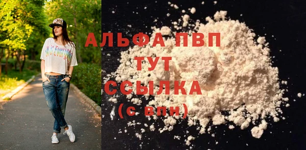 прущие грибы Нефтегорск