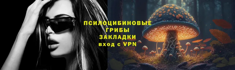 где найти наркотики  Каневская  MEGA зеркало  Псилоцибиновые грибы Magic Shrooms 