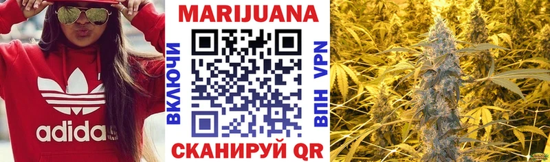 Бошки Шишки OG Kush закладка Каневская